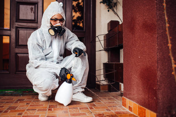 Reliable Bed Bug Control contractor in Maysville, GA by Nex Pest Control