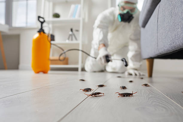 Trusted Rodent Control service in Maysville, GA - Nex Pest Control