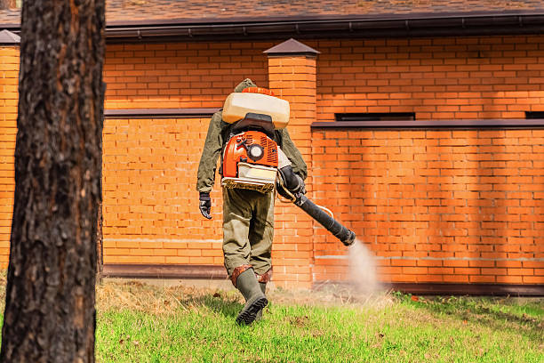 Trusted Ant Control service in Maysville, GA - Nex Pest Control